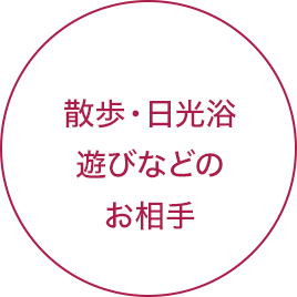 散歩・日光浴・遊びなどのお相手